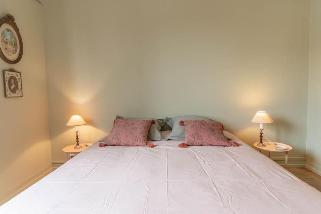 Luxe Et Deco Anglaise Centre Loire Valley Appartement *